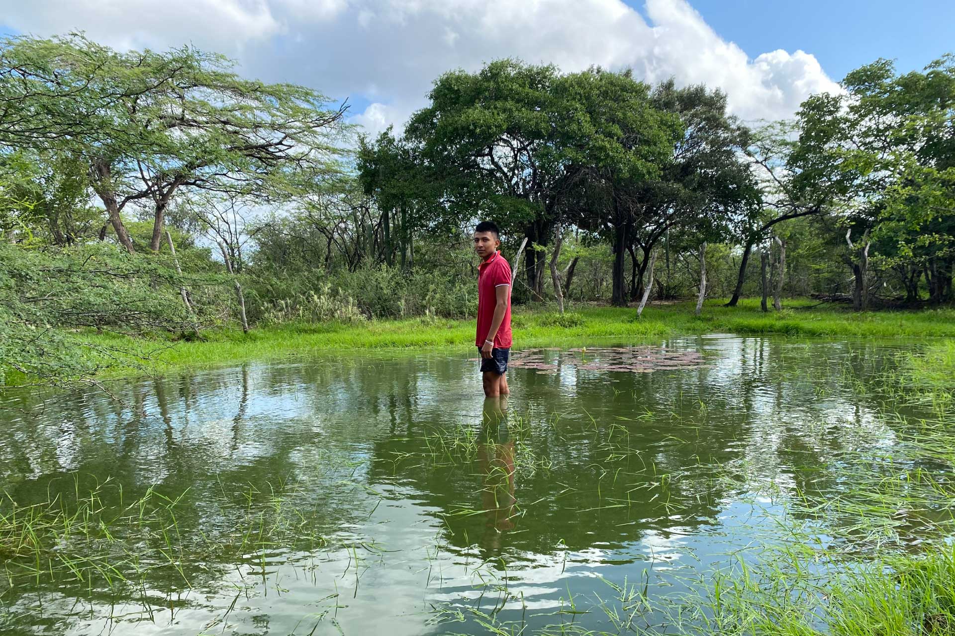 Galería Acceso al agua
